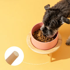 Pet Cat And Dog Basin Ceramic Double Bowl Neck Protector