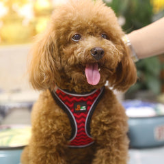 Anti-stroke Reflective Dog Chest Back Cat Leash