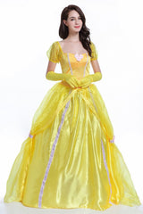 Fancy dress ball costume