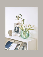 Color Vase Water Plant