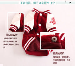 Korea Uni Dog Sweater, Yonsei Uni Dog Vest, French Bulldog Vest, English Bulldog Vest, Dog Clothes