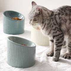 Ceramic Cat Bowl To Protect The Cervical Spine Oblique Mouth, High-Footed Dog, Cat Food Bowl, Cat Food Bowl, Rice Bowl, Pet Supplies, Prevent Tipping