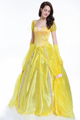 Fancy dress ball costume