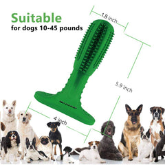 Pet dog toy bite proof toothbrush