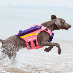 Summer Cooling To Prevent Heat Beach Swimsuit To Prevent Drowning Dog