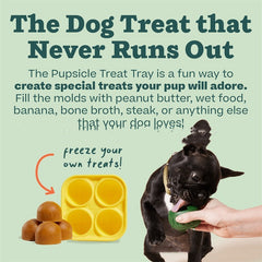Dog Snack Tray Mold Reusable