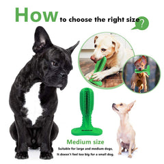 Pet dog toy bite proof toothbrush