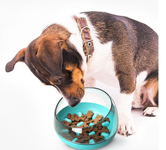 Pet Slow Food Bowl, Cat And Dog Entertainment And Play Space Capsule