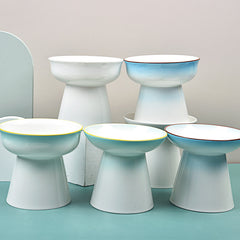 Cat Food Bowl Anti Overturning Dog Bowl