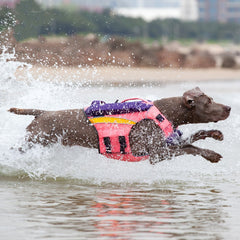 Summer Cooling To Prevent Heat Beach Swimsuit To Prevent Drowning Dog
