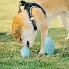 Food Ball Teasing Dog Teether Bite-resistant Pet Educational Toy