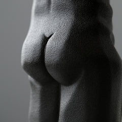 Ceramic Body Vase Flower Arrangement