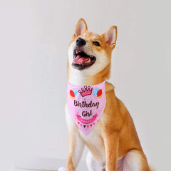 Creative Birthday Scarf In Big Dog Saliva Towel