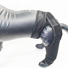 Dog Leg Fracture Fixation Protector
