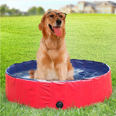 Fashion Personality Folding Wear-resistant Dog Pool