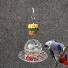 Parrot Toys Acrylic Nibbling Toy Bird Cage Educational Toy Bird Supplies Supplies Accessories Medium and Large Toy Bird
