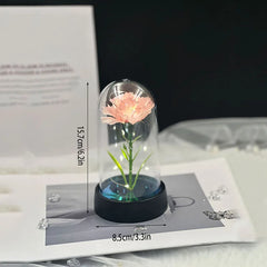 Mother's Day gift for women Carnations