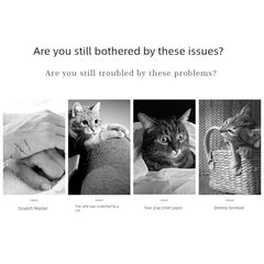 In Stock Suction Cup Corrugated Paper Cat Scratch Board Solid Wood Vertical Grinding Claw Board Sofa Anti-Scratch Cat Toy Cat-Related Products