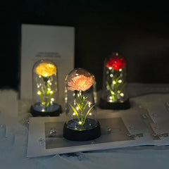 Mother's Day gift for women Carnations