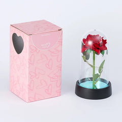 Birthday Gift for Girlfriend Colorful Rose Eternal Flower Luminous Decoration Proposal Prop Valentine's Day Gifts for Wife 2024