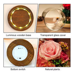 Valentine's Day Gift for Girlfriend Eternal Preserved Rose Flower Gift Box Teddy Bear