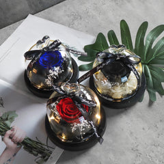 Gifts for Girls Eternal Flowers In Heart Glass Dome with Led Light Forever Preserved Rose Wedding Gift for Mom Women Girlfriend