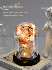 Preserved Fresh Flower Mother's Day to Give Mom Thanksgiving Birthday Gift