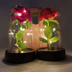 Mother Eternal Rose Flower Luminous Decoration