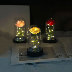 Mother's Day gift for women Carnations