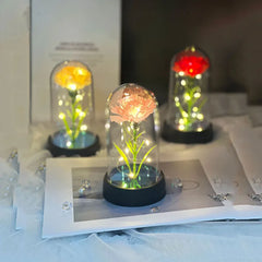 Mother's Day gift for women Carnations