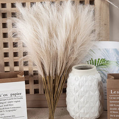 5/10PCS INS Style Reed Pampas Grass Artificial Flowers High Quality Bouquet Fake Plants Boho Home Decor Bedroom Garden Balcony