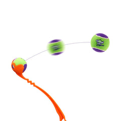 Dog Outdoor Tour Training Picking Club