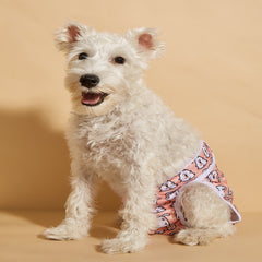 Pet Diapers Mother Dog Physiological Pants
