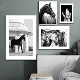 Black And White Animal Horse Canvas Painting Modern Wall Art Decor Poster