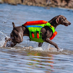 Summer Cooling To Prevent Heat Beach Swimsuit To Prevent Drowning Dog