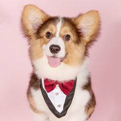 Dog Triangle Towel Cat Saliva Pet Ornament