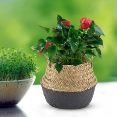 Foldable Natural Seagrass Woven Clothes Organizer Flower Plant Pot Basket(Black)