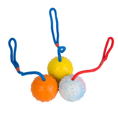 Pet Toy Dog Training Ball With Rope Rubber
