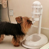 Pet Non-wet Mouth Dog Water Dispenser Automatic Hanging Vertical