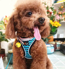 Anti-stroke Reflective Dog Chest Back Cat Leash