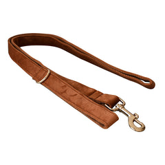 Ancient Pottery Velvet Dog Leash Pet Neck Collar