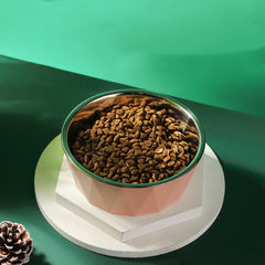 Large Capacity Cat Bowl Tall Stainless Steel Dog