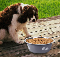 New Stainless Steel Printing Dog Cat Bowl