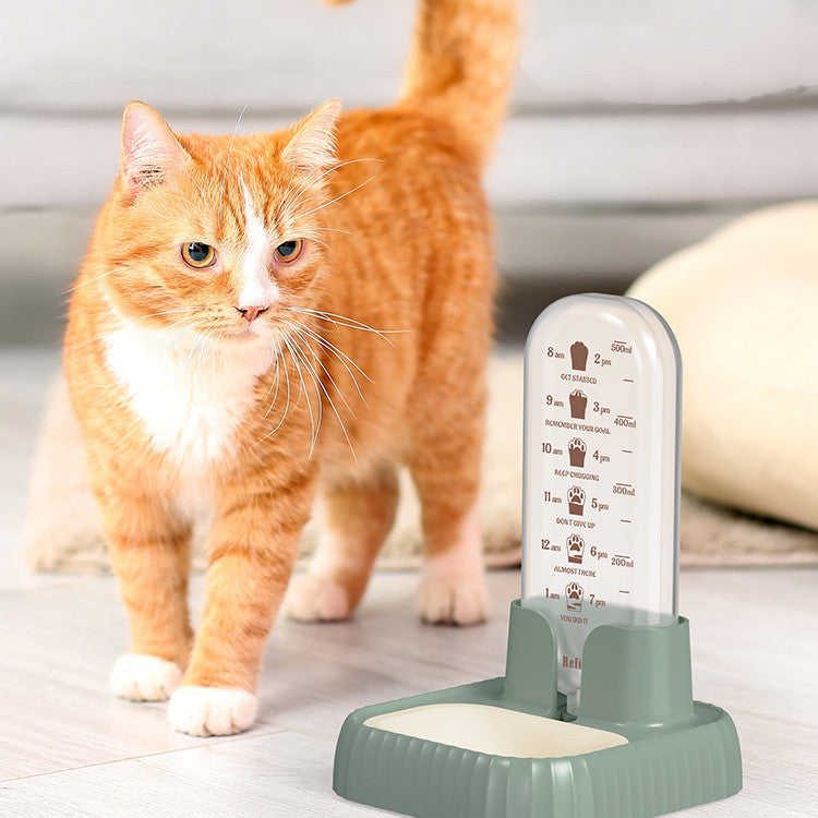 An orange and white cat looking at a green, white, and khaki pet drink fountain.