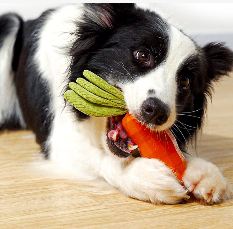 Dog Toy Bite Resistant And Audible Rubber