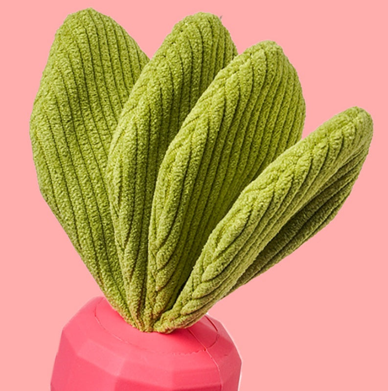 Dog Toy Bite Resistant And Audible Rubber
