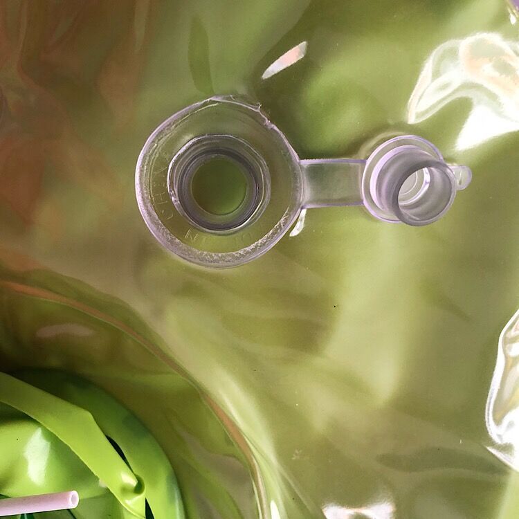 Inflatable cactus ring toy