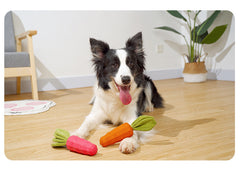Dog Toy Bite Resistant And Audible Rubber