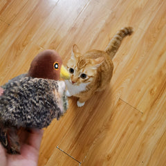 Cat Toy Artificial Bird Mouse Sound Relieving Stuffy Cat Self-Hi Handy Gadget Stuffed Cat Teaser