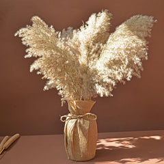 Fluffy Pampas Grass Decoration Boho Wedding Floral Arrangement Natural Phragmites Dried Flowers Bouquet Home Coffee Table Decor